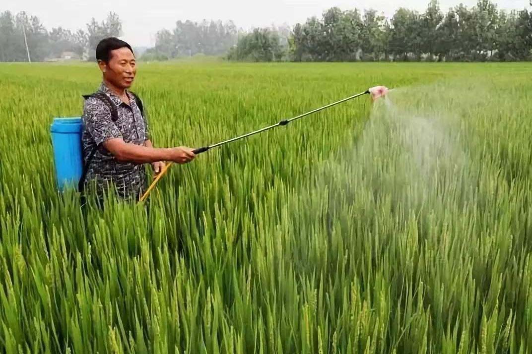 你可計算過有多少農藥被我們吃進肚子